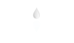immaculate therapy logo